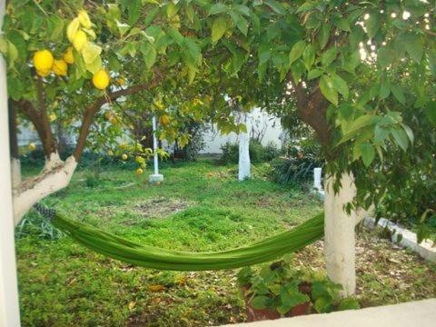 Villa Artistic House In Limni Evias Exterior foto